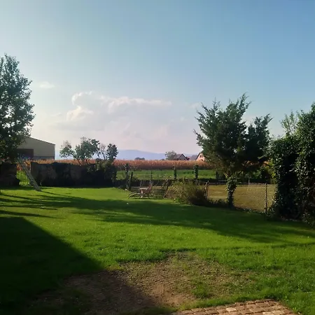 Cote Cour Colmar לינה וארוחת בוקר