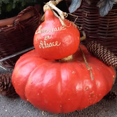 Bed & Breakfast Coté Cour Colmar 3*