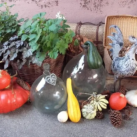 Bed & Breakfast Coté Cour Colmar