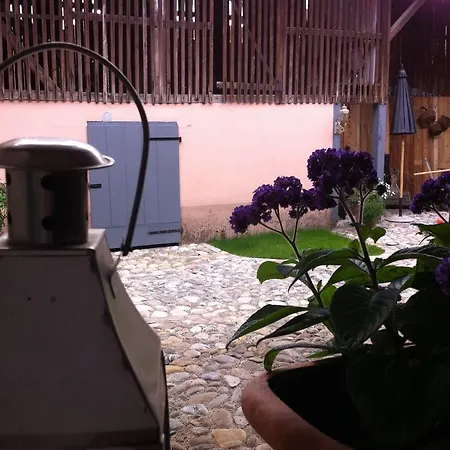 Bed & Breakfast Cote Cour Colmar 3*
